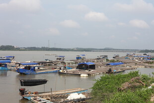 江边停泊的多彩渔船