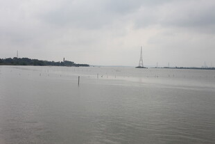 宁静江面与远处建筑景观