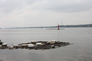 海上漂浮物与远处帆船