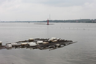 水上漂浮的杂物