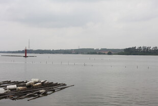 平静湖面与岸边景象