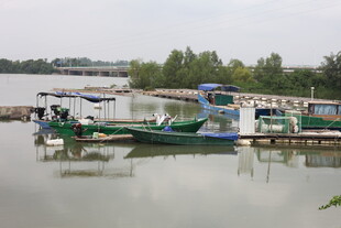 河畔停泊的多彩船只