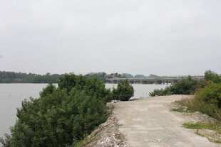 湖边小径与葱郁绿植