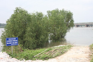 洪水淹没树木与警示标志
