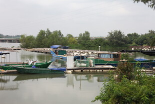 河畔停泊的多彩船只