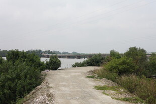 乡间土路旁的葱郁河岸