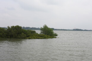 湖畔绿树小岛水域风光