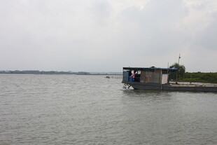 湖畔小屋静享自然之美