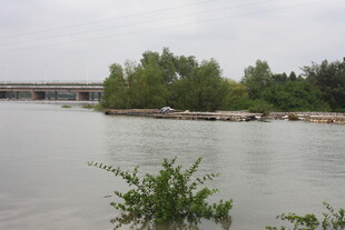 河畔绿植与远处建筑景观
