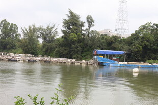 湖畔蓝船与岸边景致