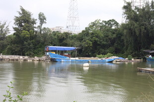 湖畔停泊的蓝色船只