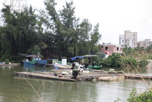 水乡小船人家的宁静画面