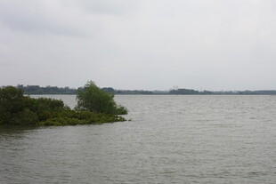 湖畔绿意宁静水域风光