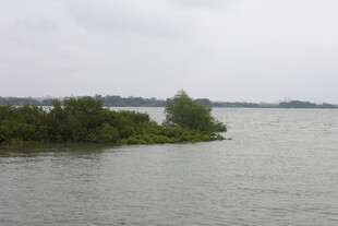 湖畔绿意盎然的宁静水域