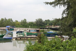 河畔停泊的多彩船只