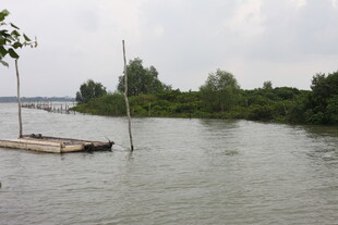 宁静河畔的简易木质码头