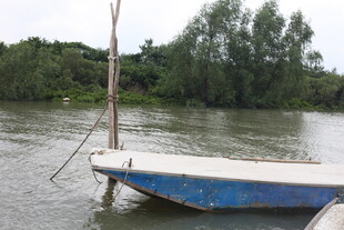 河畔停泊的蓝白小船