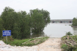 洪水淹没岸边树木场景