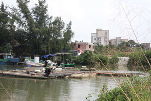 河边景致展现自然与建筑