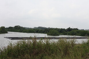 田野中的白色建筑设施