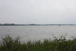 湖畔风光水草与辽阔水域