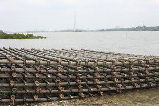 江边堆放的大量黑色枕木