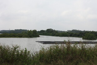 湖畔风光宁静水域景色