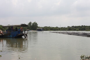 河上船只宁静水乡景象