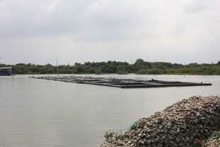 河岸沙石堆放景观