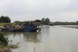 河上停泊的船只