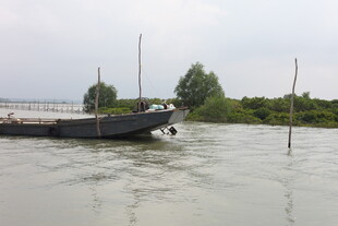 河上停泊的船只