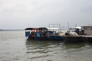 码头停泊的船只