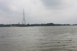 江边高塔与开阔水域景象