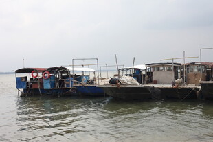 停靠在水边的多艘船只