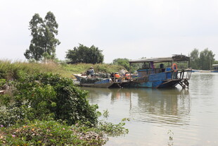 河上停泊的船只与绿植