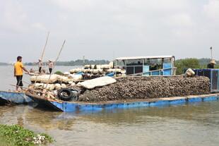 水上运货船满载货物