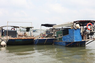 水上停泊的多彩船只