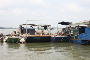 停泊在水边的多艘渔船