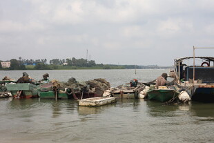 江边停泊的众多船只