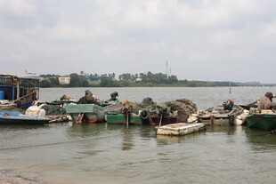 水上船只与岸边景象