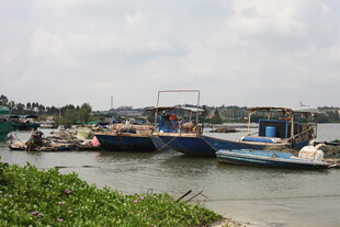 河畔停泊的多彩船只