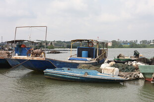 停靠岸边的多艘船只