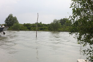 洪水淹没区域景象