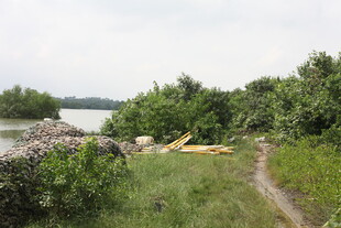 郊外小径旁的自然风景