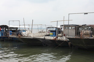 码头停泊的多艘船只