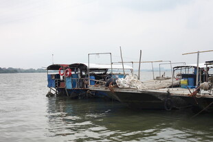 水上停泊的多彩船只