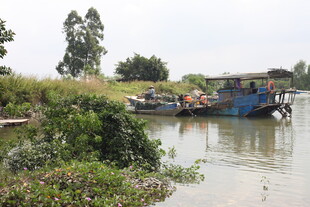 河边停泊的多彩船只