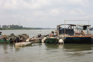 江边停泊的多艘船只