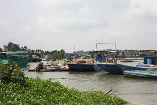 河畔停泊的多彩船只