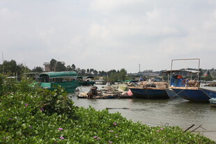 河畔停泊的多彩船只